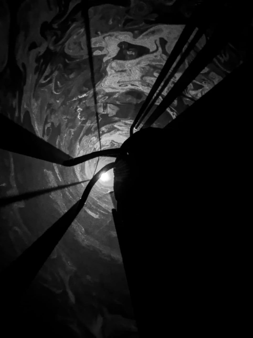 Toynbee's House of Horrors