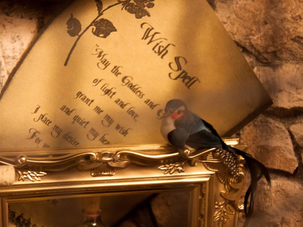 Magična Knjižnica [Magical Library]