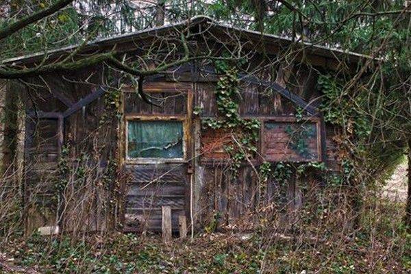 The Shed