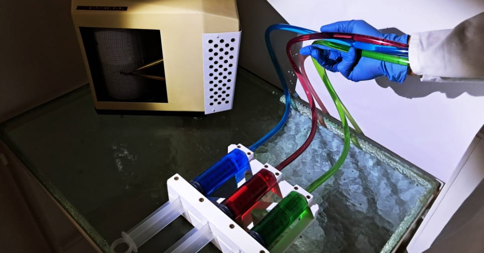 Elmegyógyintézet [Asylum]