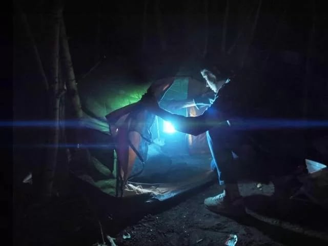 Пропавшие В Лесу [Missing In The Forest]