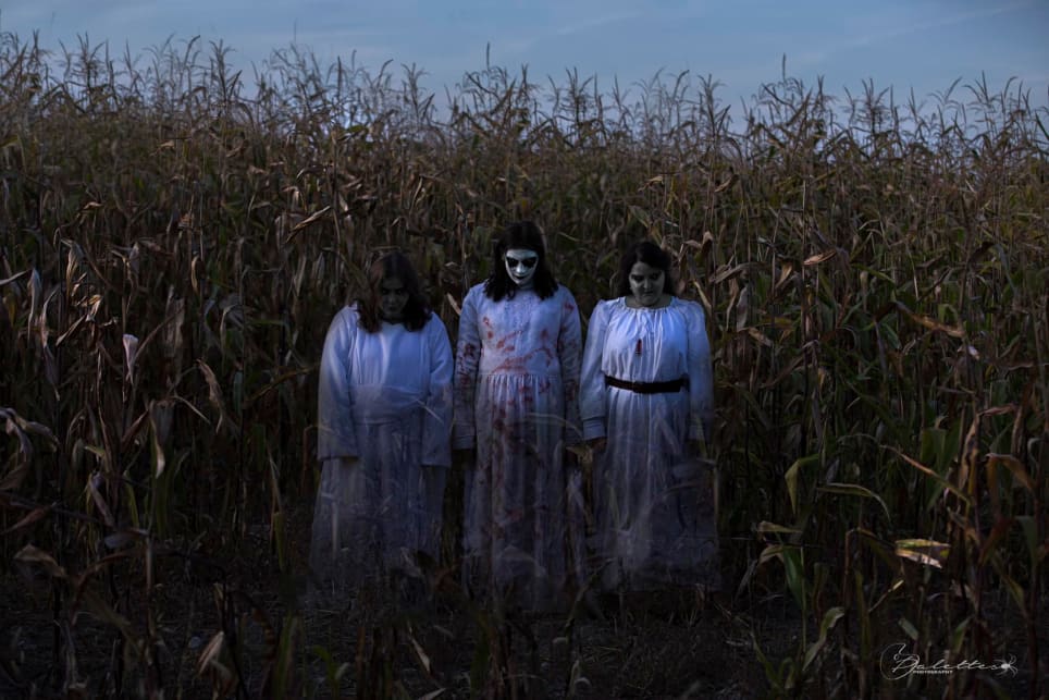 The Haunted Straw Maze