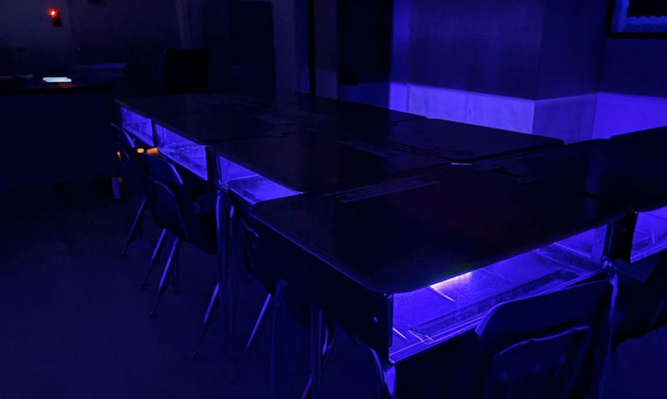 The Purgers: Unfinished Business