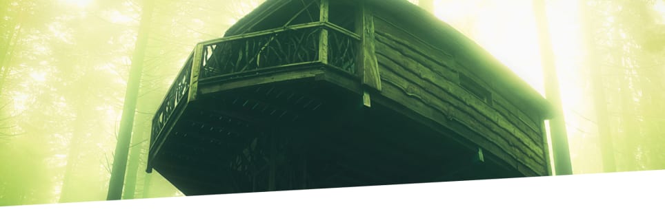 D.B. Cooper's Treehouse