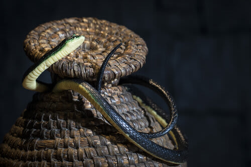 Le Temple De Chachapoya