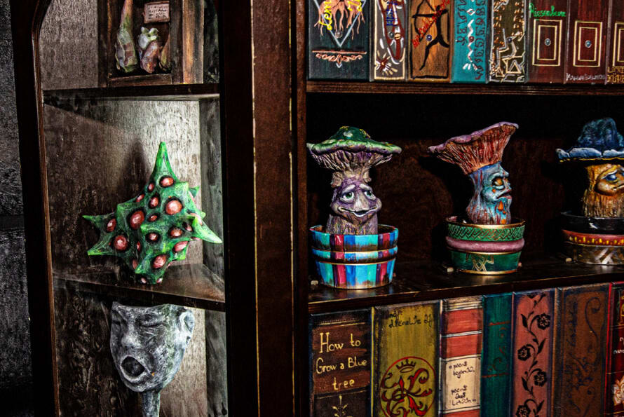 Die Magische Universität [The Magical University]