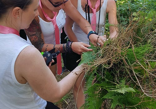 Wilde Hexenküche [Wild Witch Kitchen][Outdoor]