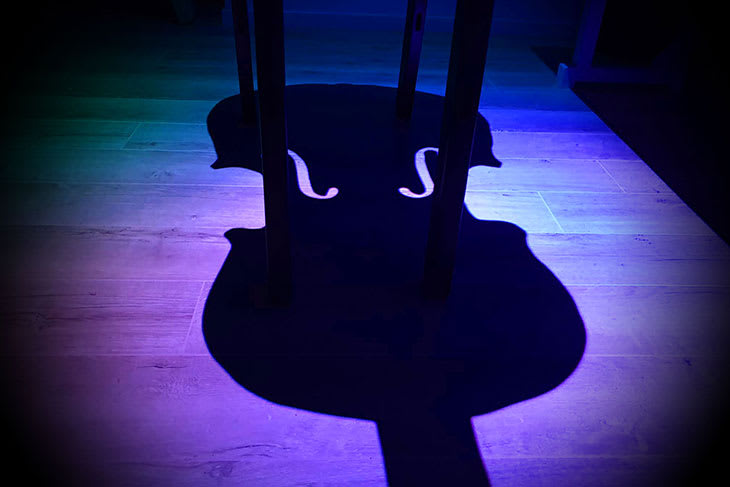 Nestala Simfonija [The Missing Symphony]