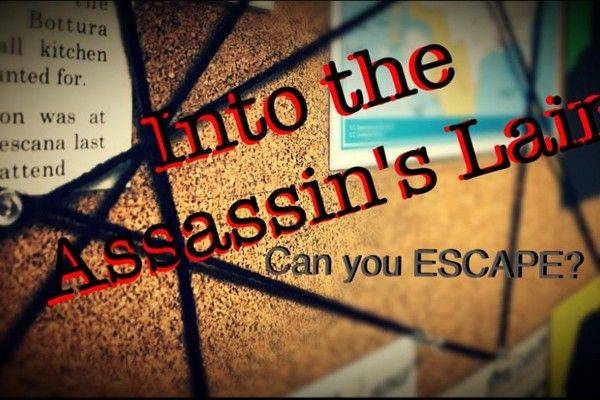 Into The Assassin's Lair