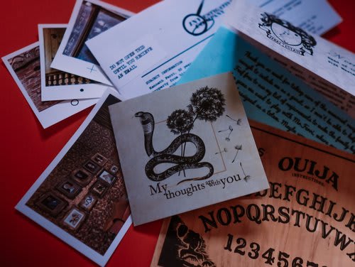 Game V. Wild Mansion of Mr.Ferri