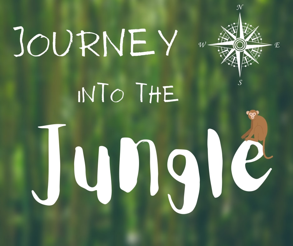 Journey Into The Jungle