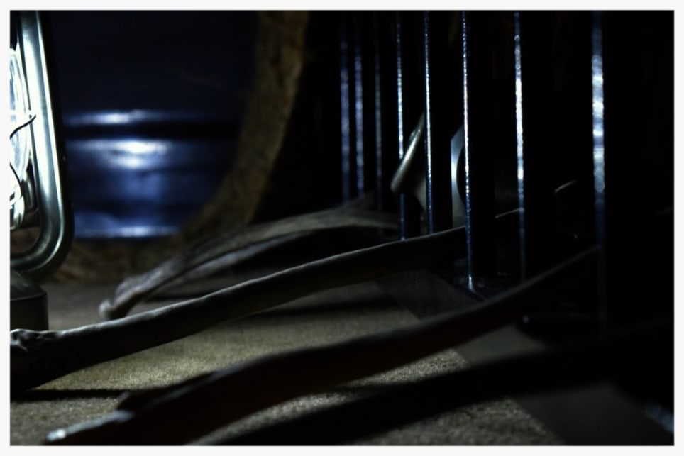 The Great Pirate Escape