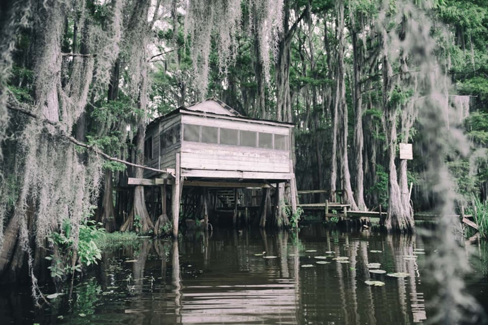 Swamp House