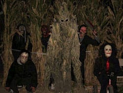 Field of Screams