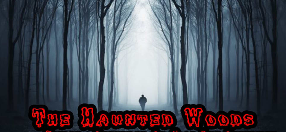 Haunted Woods