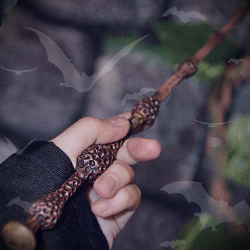 Misión Harry Potter