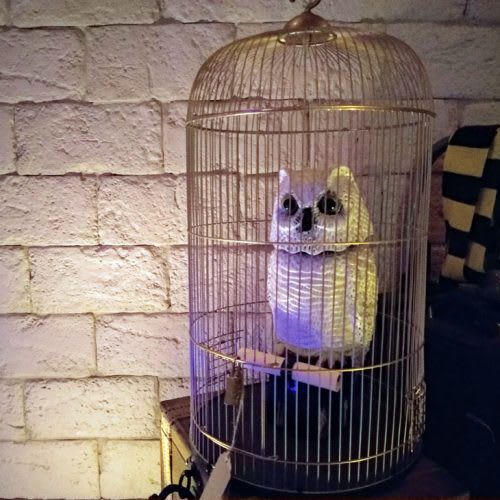 Las Reliquias Mágicas [The Magic Hallows]