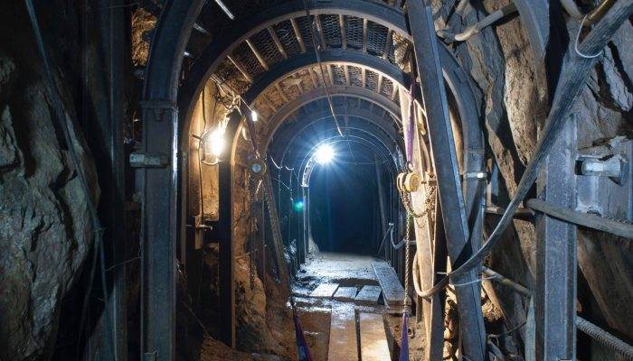 L'Eveil du Dragon [The Awakening of the Dragon]