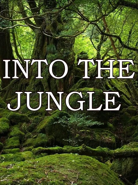 Into The Jungle
