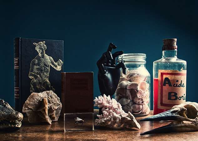 Le Cabinet Des Curiosités