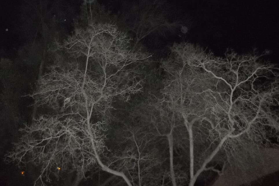 Paranormal Investigation. Ghost Stories. History. Old Town.