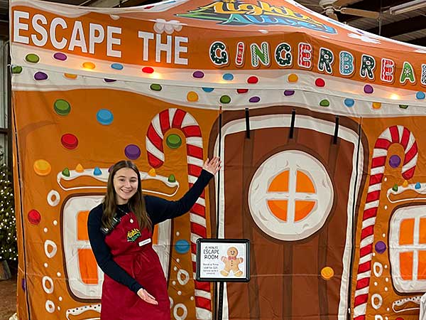 Escape the Gingerbread