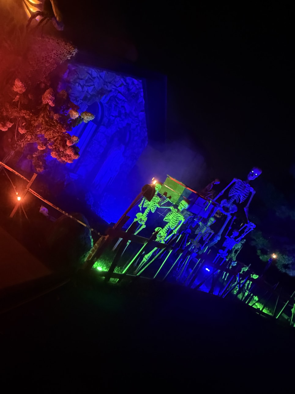 Backwoods of Ridgewood