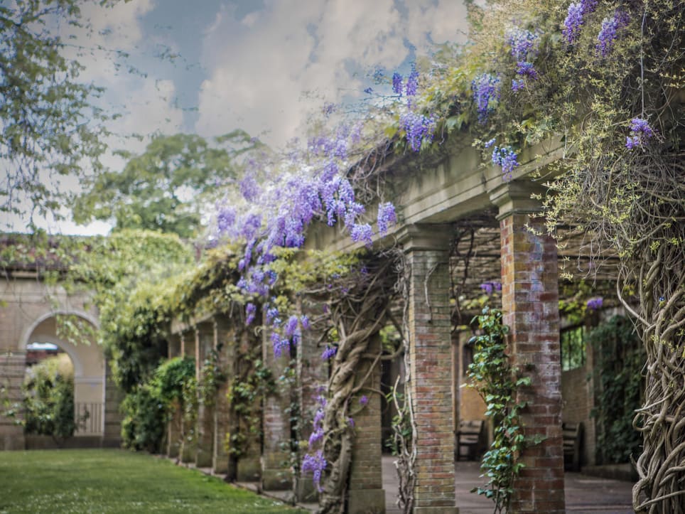 A Peek Into The Past [Outdoor]