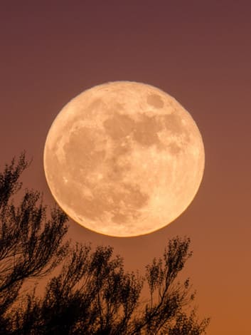 Marquette's Haunted Hayride