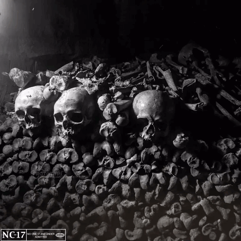 Cannibals In The Catacombs