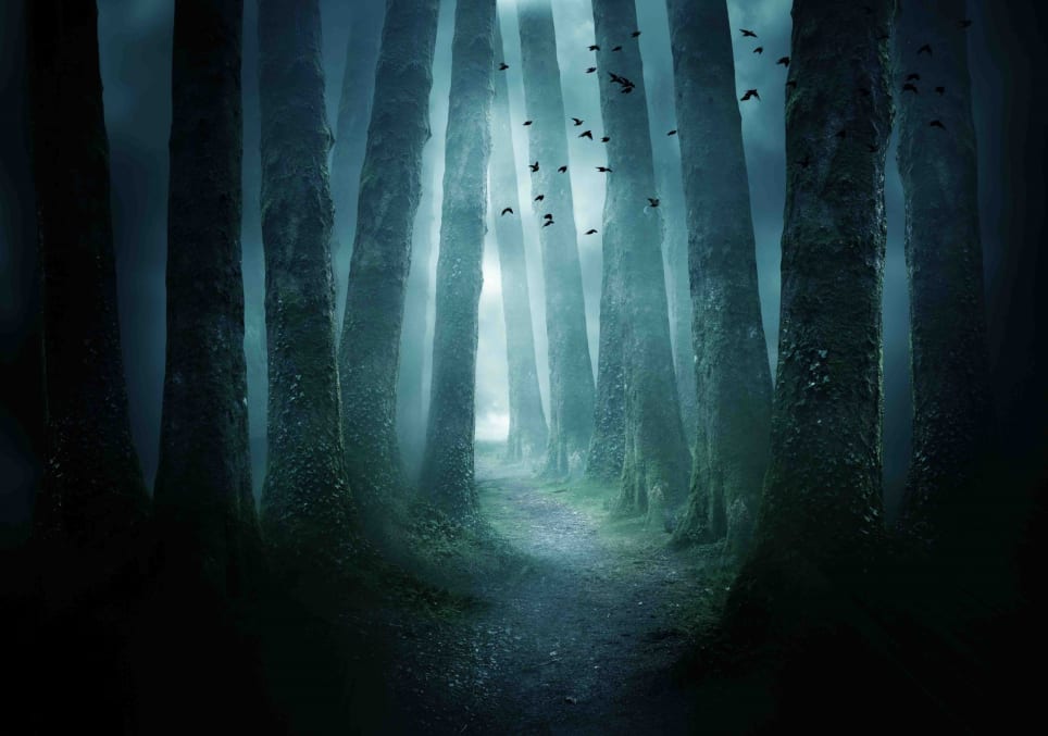 The Witch's Cabin