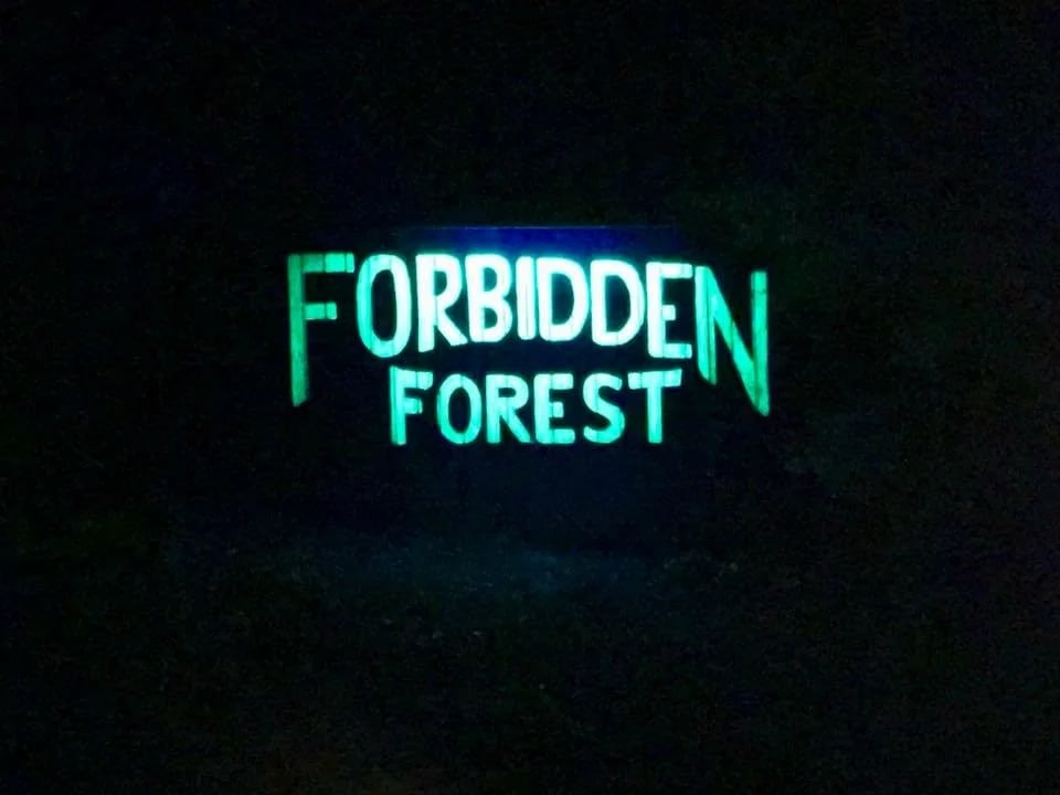 Forbidden Forest