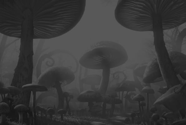 Return To Wonderland