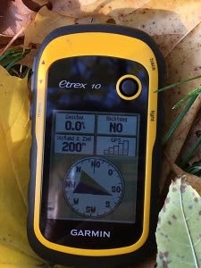 Mainz mal Anders [Mainz With a Difference] [Outdoor]