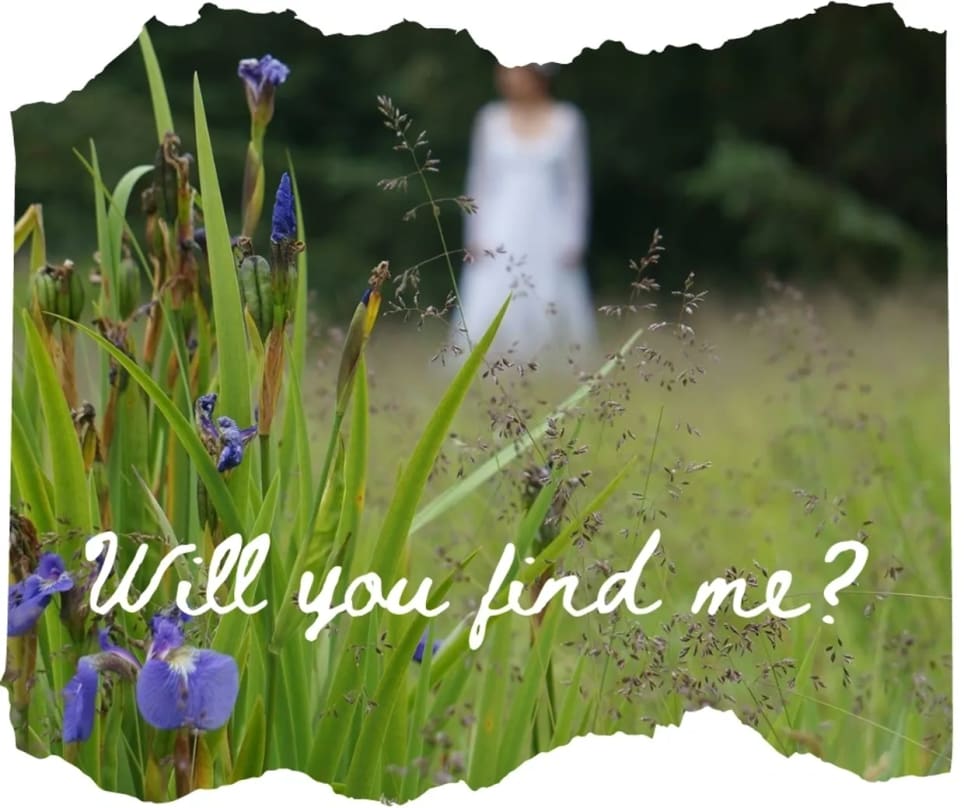 The Case Of Patricia Silvey