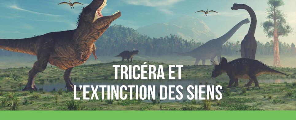 Tricéra Et L’extinction Des Siens [Tricera and The Extinction Of Its Kind]