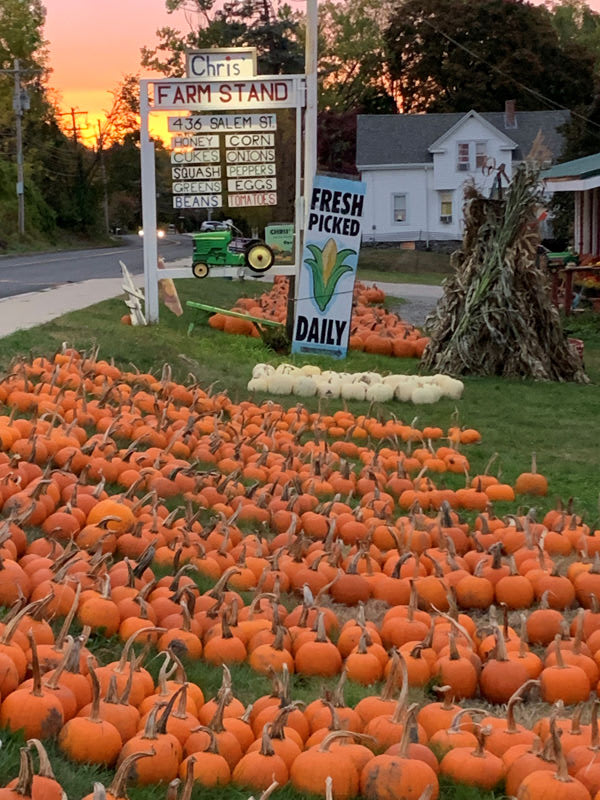 Pumpkin Festival