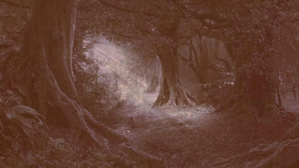Legend Of The Woods