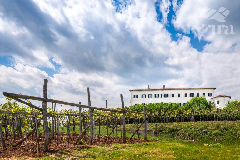 Lov Za Zakladom V Tomaju ‘viktorijina Skrivnost [Treasure Hunt In Tomaj ‘victoria’s Secret’] [Outdoor]