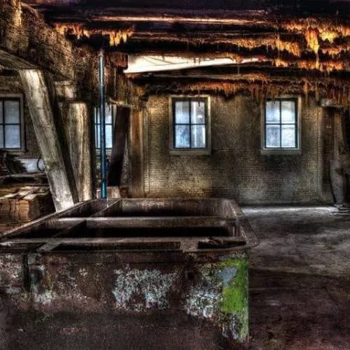 De Vloek Van Dracula