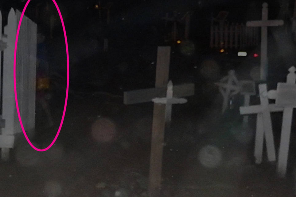 Ghost Bus Tour. Haunted History. Old Town, Sherman Heights, Gaslamp.