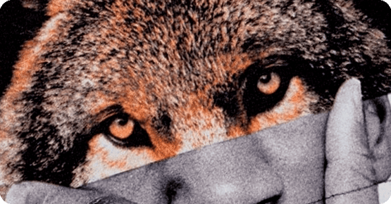 El Enigma De Romasanta [The Enigma of Romasanta]