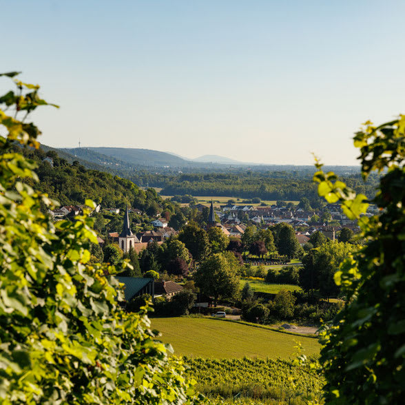 Die verschwundene Winzerin [The Missing Winemaker] Outdoor