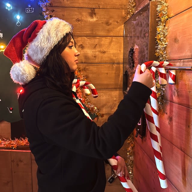 Santa's Christmas Advent-Ure