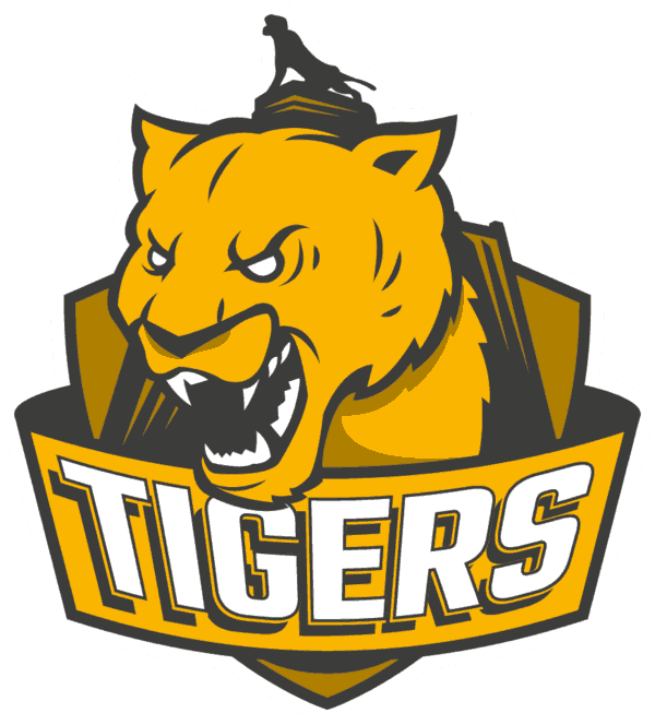 La Gran Final [The Grand Final]