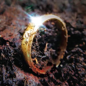 Przeklęty Pierścień [Cursed Ring]