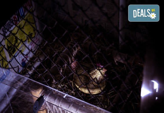 Пощенска Станция [Post Office]