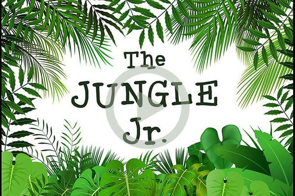 The Jungle Jr.