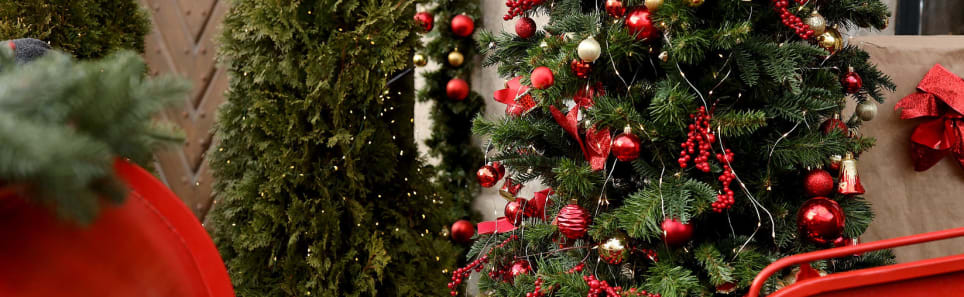 Christmas Catastrophe