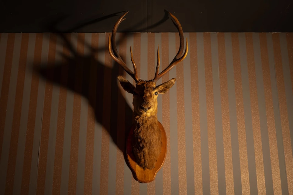 Сълзи и Скръб [Tears and Sorrow]